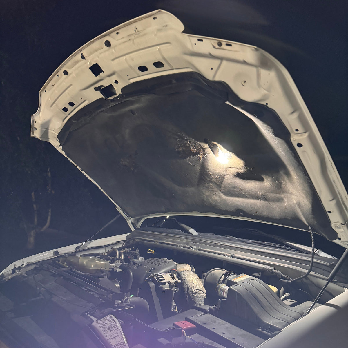 '99 - '04 Ford Super Duty F-250 & F-350 Standard Cab & SuperCab Interior/Exterior LED Bulb Retrofit Kit